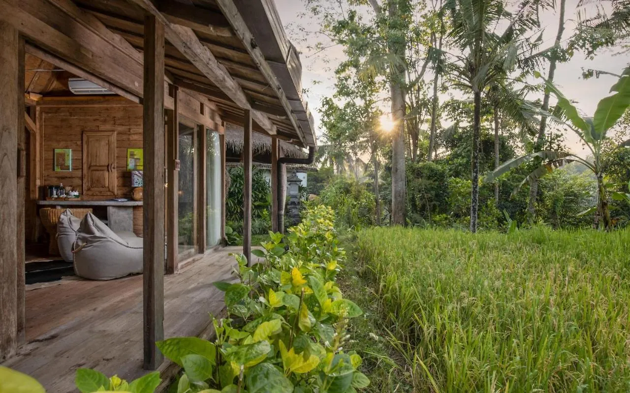 Blue Karma Dijiwa Ubud Indonezja